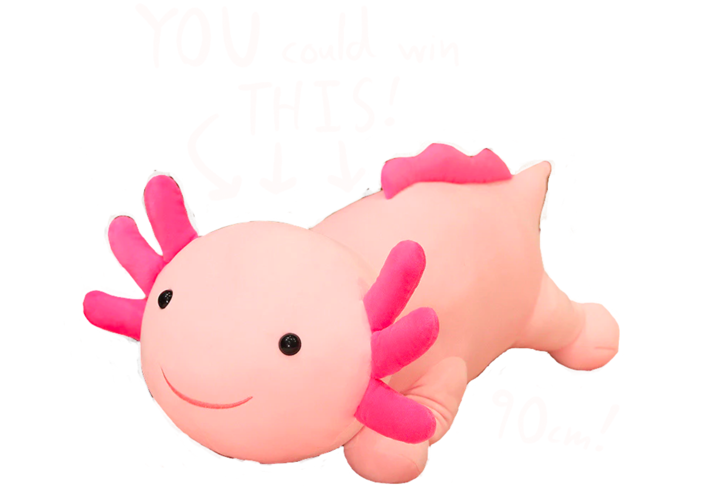 Axolotl plush prize poster